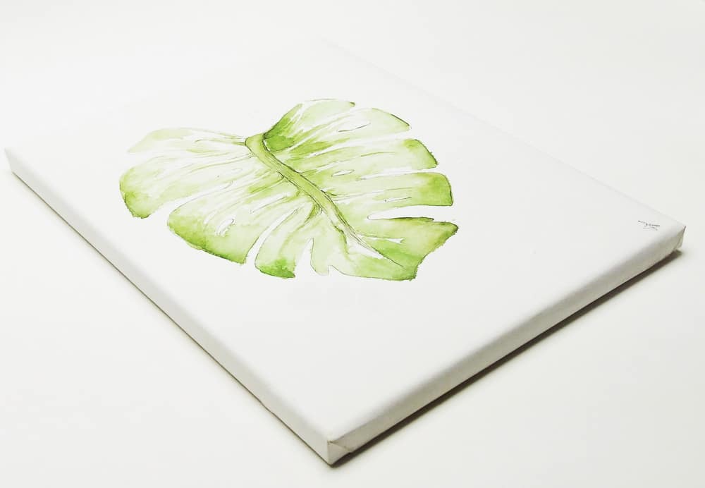 Watercolor painting on canvas. Monstera study by Goldener Strich.
